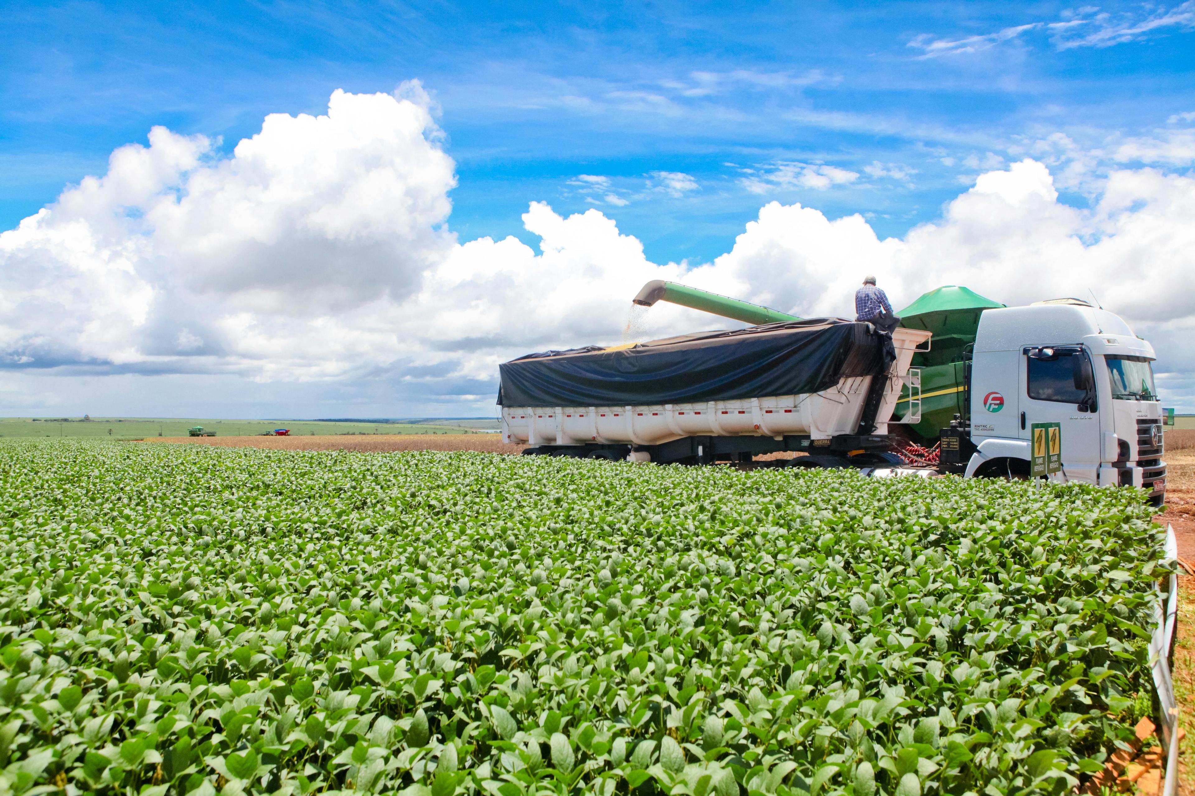 Como personalizar a comunicação no agro e aumentar conversões